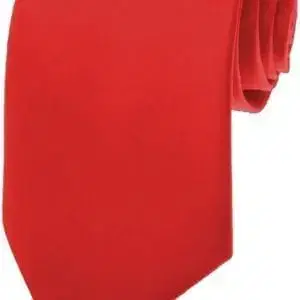 Plain School Tie Red (Long)