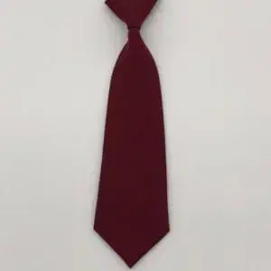 Plain Wine Elastic Tie